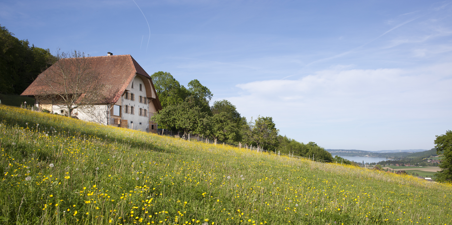 : Transformation de la ferme Aentscherz, Tschugg, bauzeit architekten